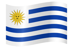 Country flag