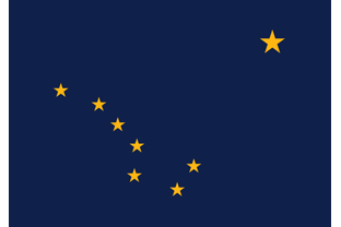 US State flag