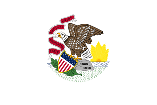 US State flag