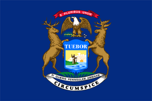 US State flag