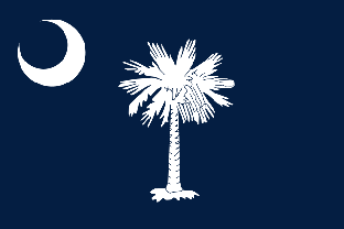 US State flag