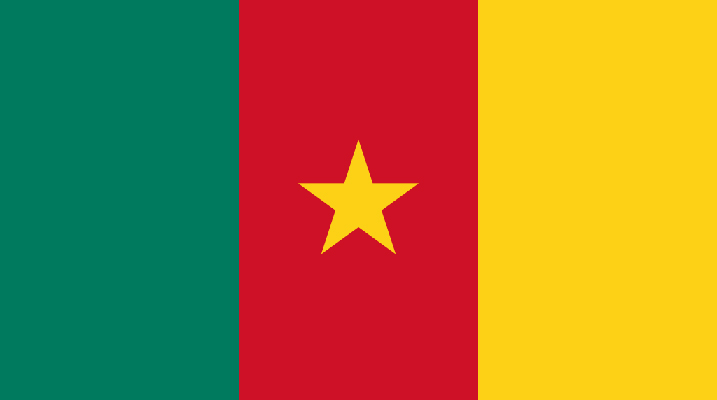 Image Flags of Africa