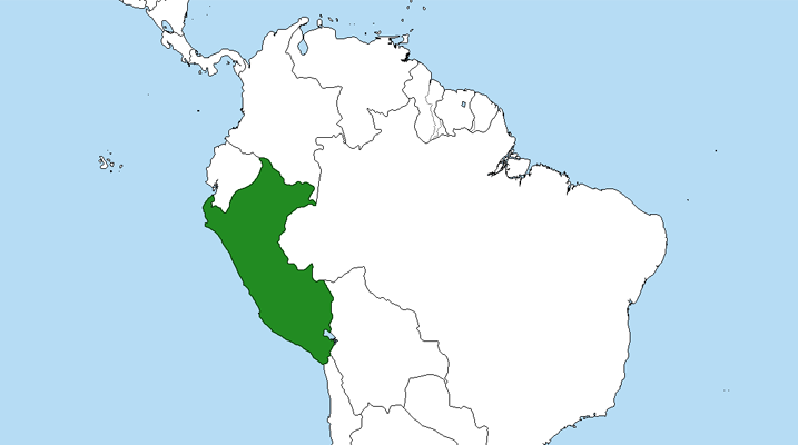 Image South American countries