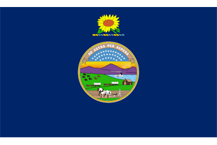 State flag