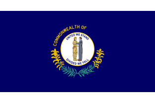 State flag