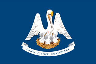 State flag
