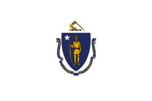 State flag