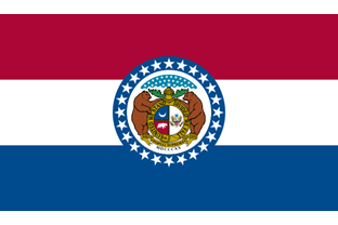 State flag