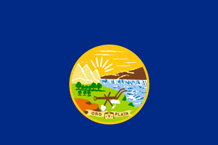 State flag