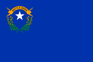 State flag