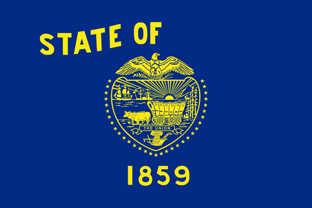 State flag