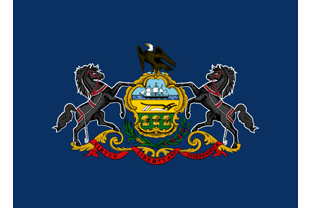 State flag