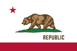 State flag
