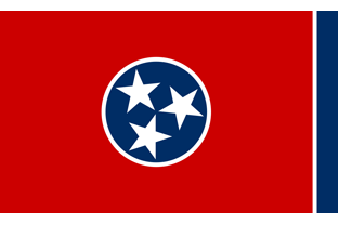 State flag