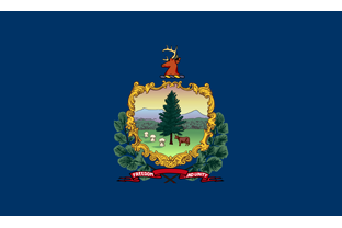 State flag