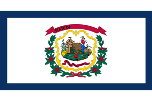 State flag