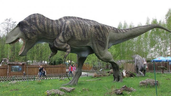 Tiranozavri