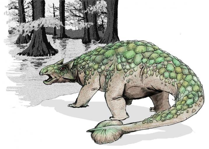 Ankilozavri