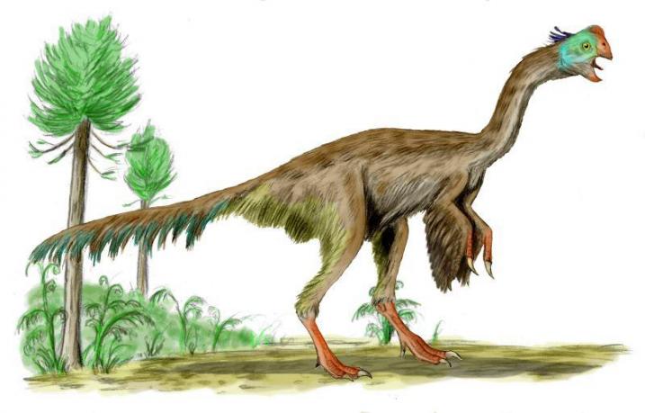 Gigantoraptorji