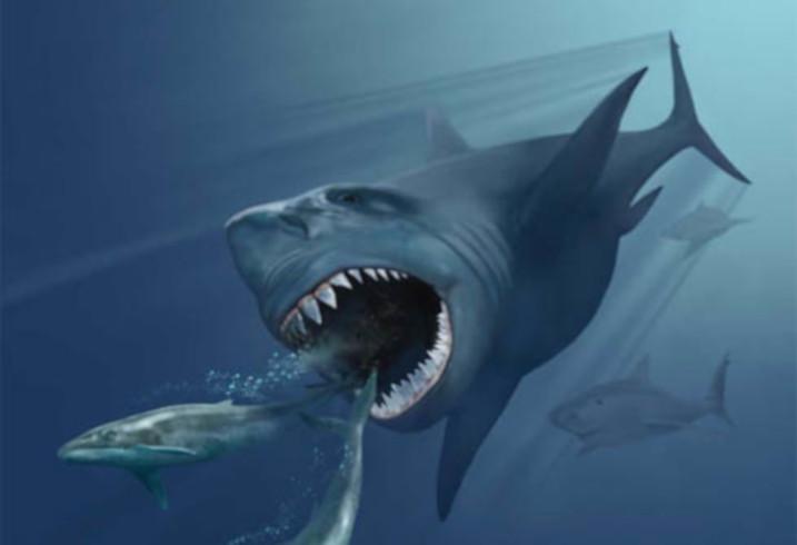 Megalodon